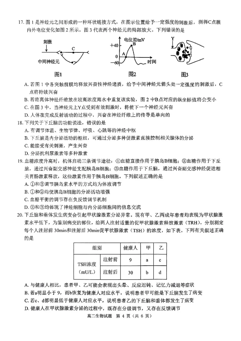 生物试题_2024-2025高二（7-7月题库）_2024年11月试卷_1119河南省驻马店市环际大联考&ldquo;逐梦计划&rdquo;2024-2025学年高二上学期11月期中考试