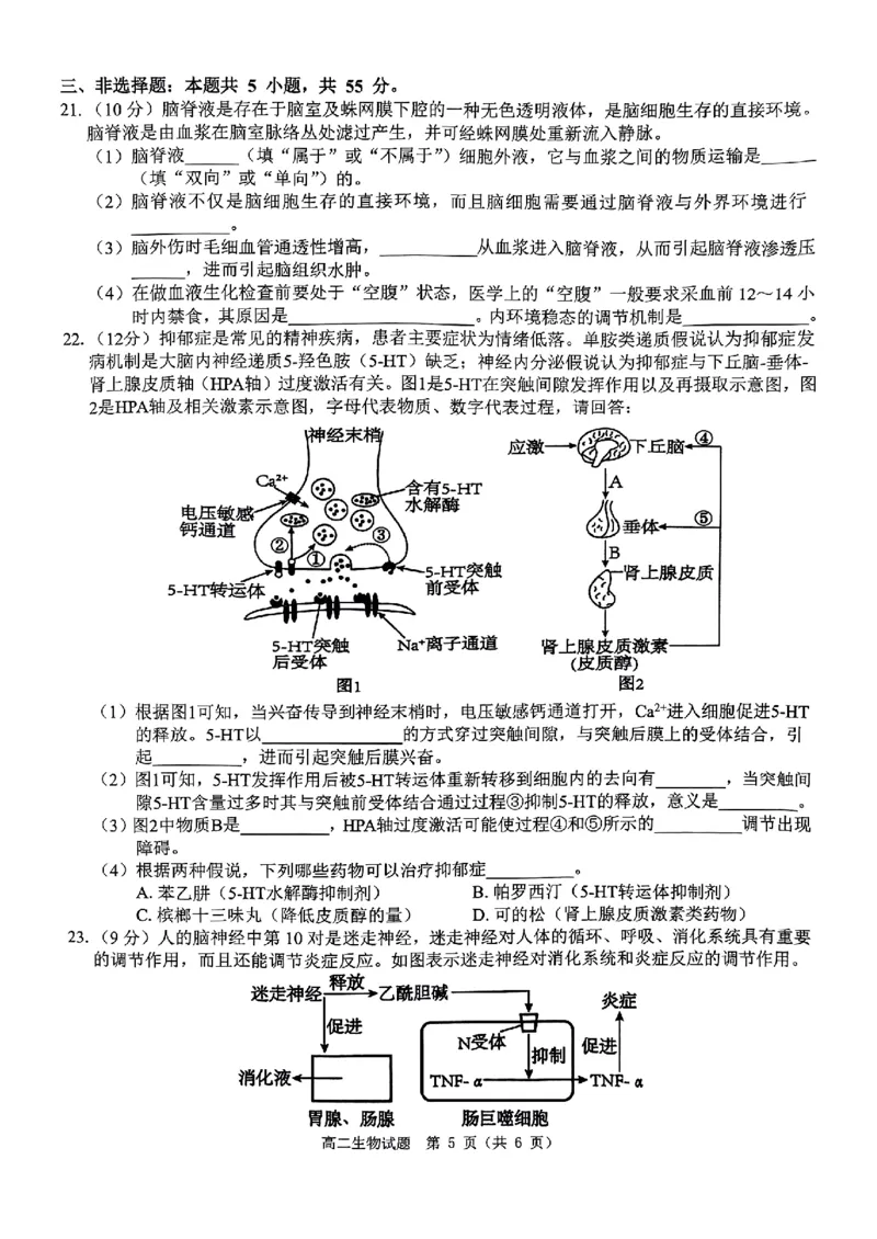 生物试题_2024-2025高二（7-7月题库）_2024年11月试卷_1119河南省驻马店市环际大联考&ldquo;逐梦计划&rdquo;2024-2025学年高二上学期11月期中考试