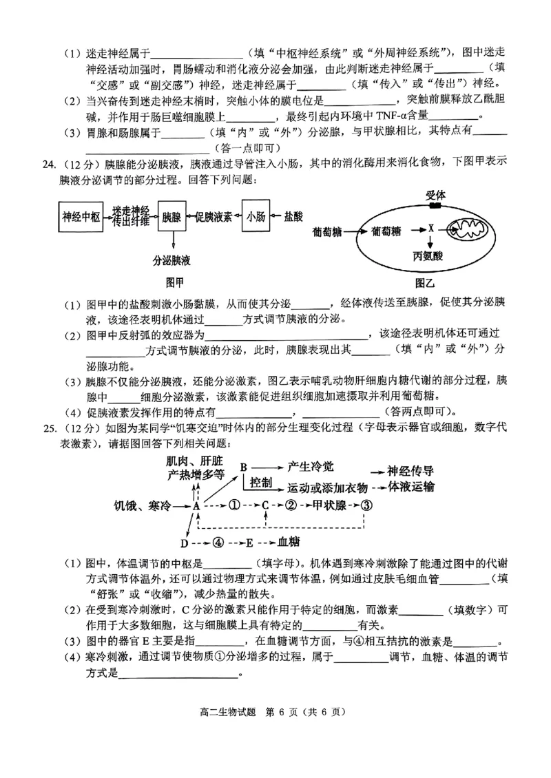 生物试题_2024-2025高二（7-7月题库）_2024年11月试卷_1119河南省驻马店市环际大联考&ldquo;逐梦计划&rdquo;2024-2025学年高二上学期11月期中考试