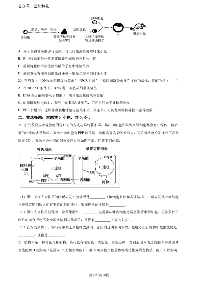 精品解析：陕西省汉中市2023-2024学年高二下学期期末考试生物试题（原卷版）_2024-2025高二（7-7月题库）_2024年07月试卷_0721陕西省汉中市2023-2024学年高二下学期7月期末考试(金太阳587B)