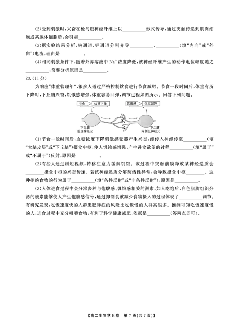 生物B卷安徽省鼎尖名校大联考2025-2026学年上学期高二11月期中考试_2025年11月高二试卷_251122安徽省鼎尖名校大联考2025-2026学年上学期高二11月期中考试（全科）