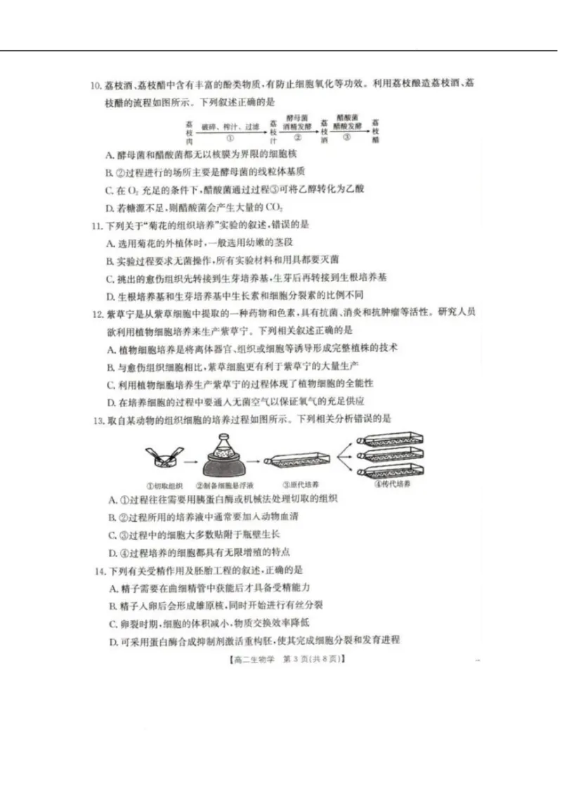 辽宁省抚顺市六校协作体2024-2025学年高二下学期5月联考生物试卷（图片版，含解析）_2024-2025高二（7-7月题库）_2025年05月试卷