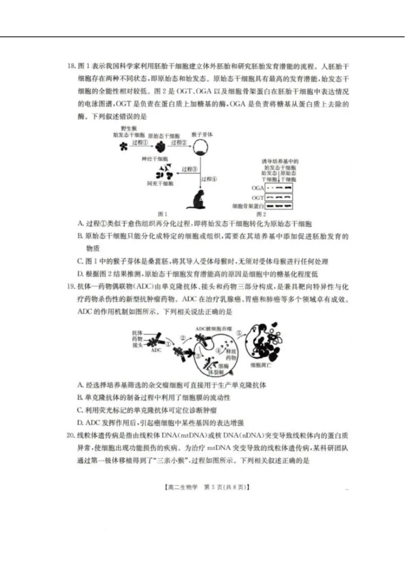 辽宁省抚顺市六校协作体2024-2025学年高二下学期5月联考生物试卷（图片版，含解析）_2024-2025高二（7-7月题库）_2025年05月试卷