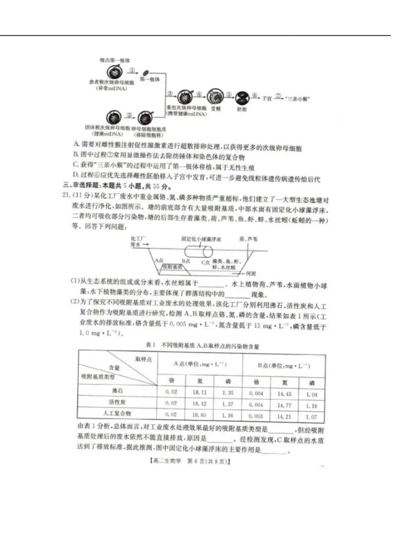 辽宁省抚顺市六校协作体2024-2025学年高二下学期5月联考生物试卷（图片版，含解析）_2024-2025高二（7-7月题库）_2025年05月试卷