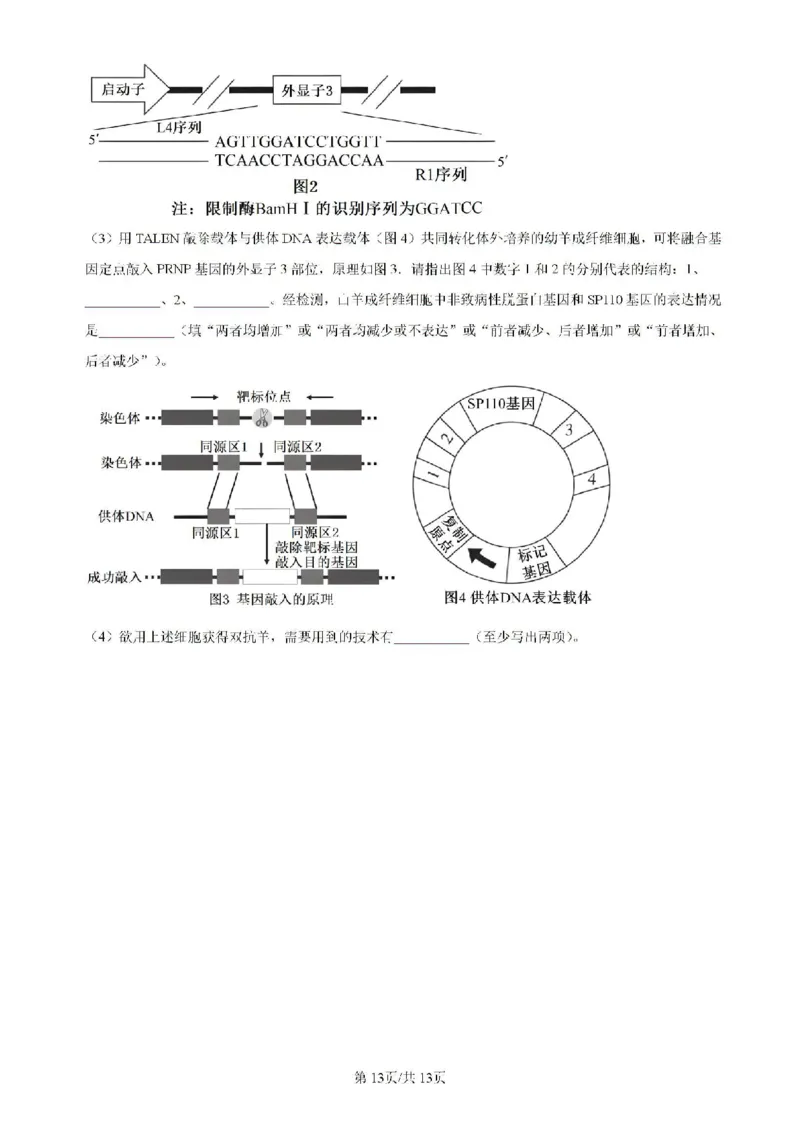 辽宁省实验中学等校2023-2024学年高二下学期7月期末考试生物试题_2024-2025高二（7-7月题库）_2024年07月试卷_0723辽宁省五校联考2023-2024学年高二下学期7月期末考试