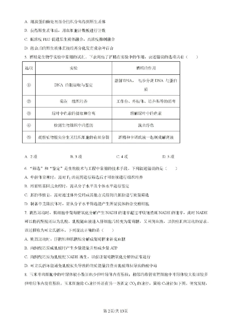 辽宁省实验中学等校2023-2024学年高二下学期7月期末考试生物试题_2024-2025高二（7-7月题库）_2024年07月试卷_0723辽宁省五校联考2023-2024学年高二下学期7月期末考试