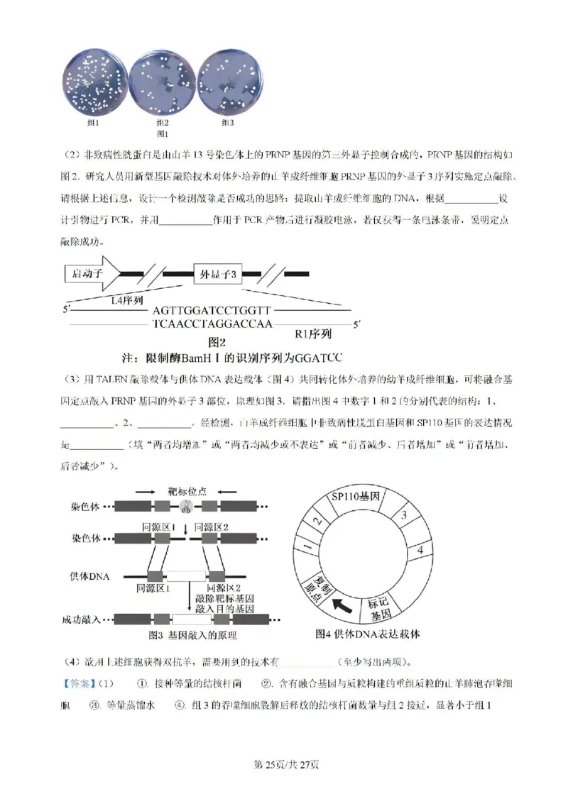 辽宁省实验中学等校2023-2024学年高二下学期7月期末考试生物试题_2024-2025高二（7-7月题库）_2024年07月试卷_0723辽宁省五校联考2023-2024学年高二下学期7月期末考试