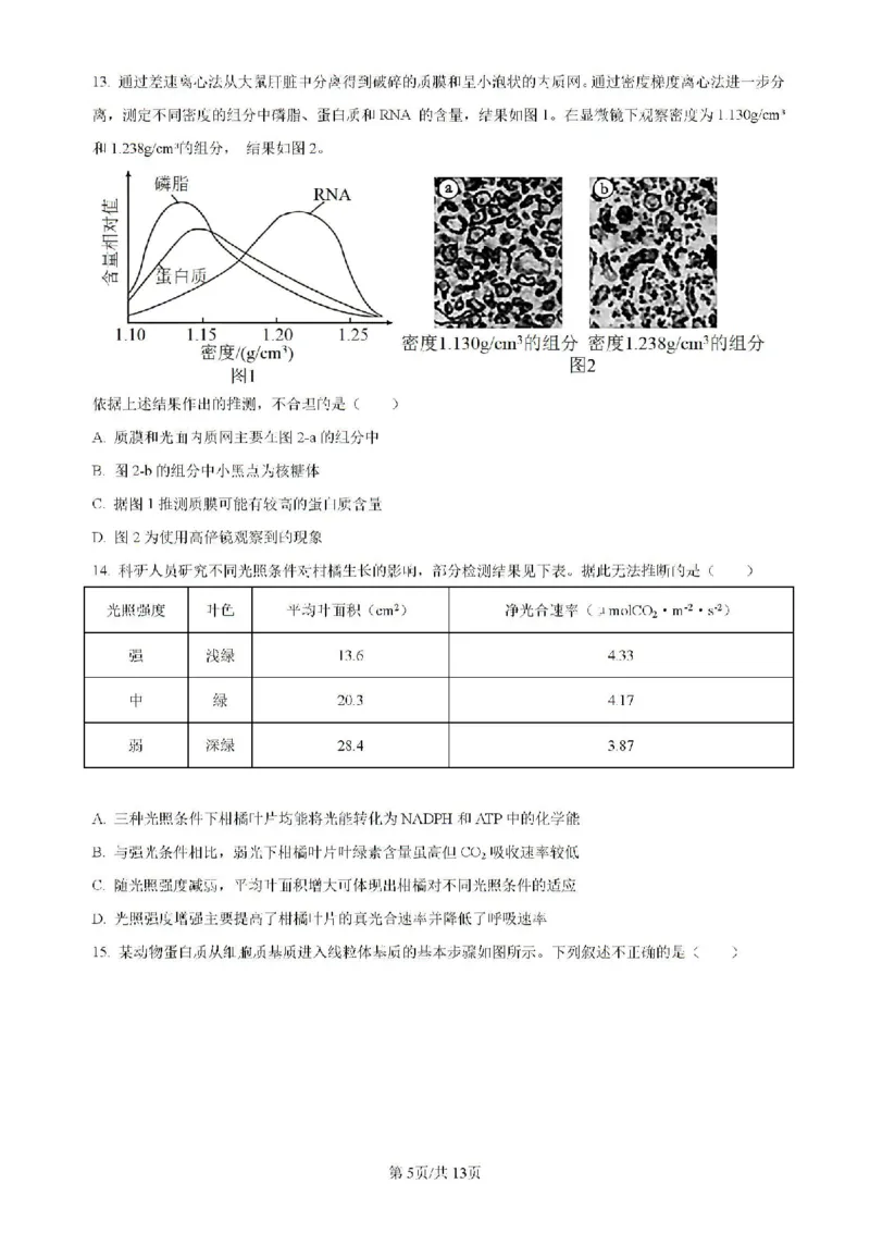 辽宁省实验中学等校2023-2024学年高二下学期7月期末考试生物试题_2024-2025高二（7-7月题库）_2024年07月试卷_0723辽宁省五校联考2023-2024学年高二下学期7月期末考试