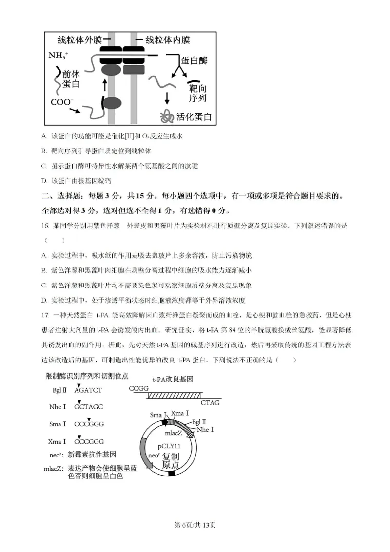 辽宁省实验中学等校2023-2024学年高二下学期7月期末考试生物试题_2024-2025高二（7-7月题库）_2024年07月试卷_0723辽宁省五校联考2023-2024学年高二下学期7月期末考试