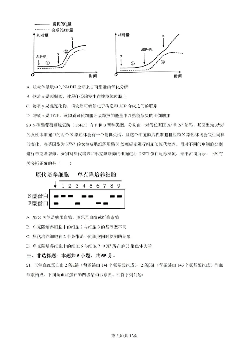 辽宁省实验中学等校2023-2024学年高二下学期7月期末考试生物试题_2024-2025高二（7-7月题库）_2024年07月试卷_0723辽宁省五校联考2023-2024学年高二下学期7月期末考试
