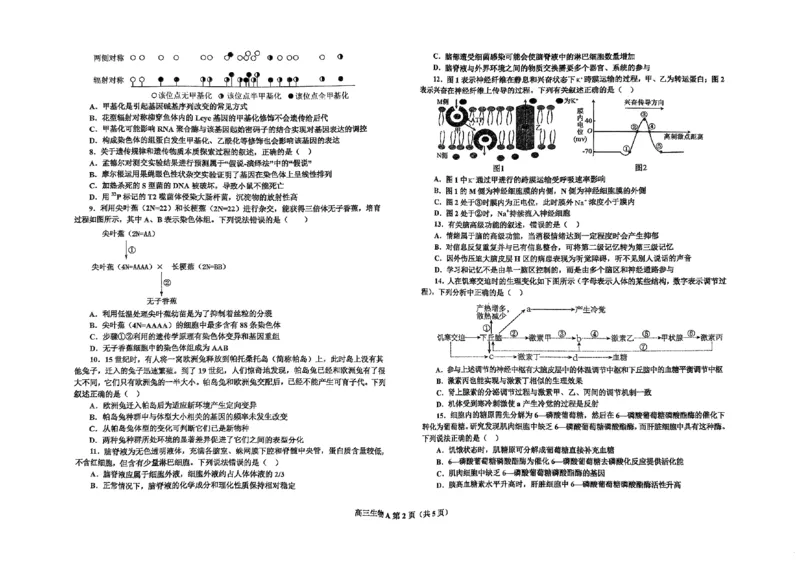 辽宁省鞍山市普通高中2025届高三年级上学期第三次月考生物_2024-2025高三（6-6月题库）_2024年12月试卷_1214辽宁省鞍山市普通高中2025届高三年级上学期第三次月考（全科）