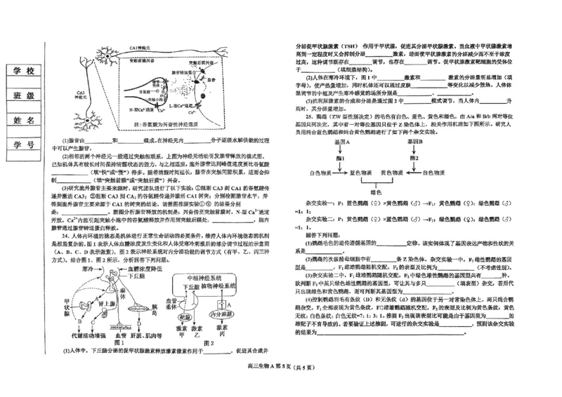 辽宁省鞍山市普通高中2025届高三年级上学期第三次月考生物_2024-2025高三（6-6月题库）_2024年12月试卷_1214辽宁省鞍山市普通高中2025届高三年级上学期第三次月考（全科）
