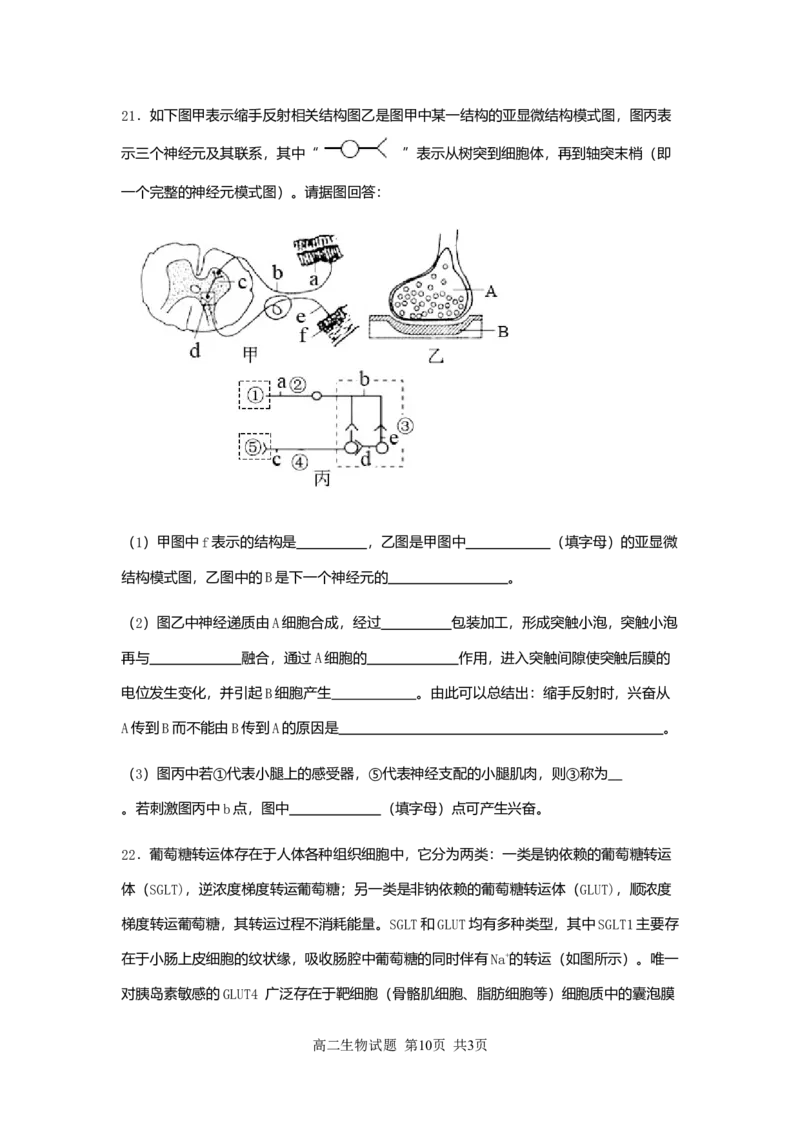 新海高二生物月考试题_2025年10月高二试卷_251015江苏省连云港市赣榆区新海高级中学2025-2026学年高二上学期10月学业水平质量监测（全）
