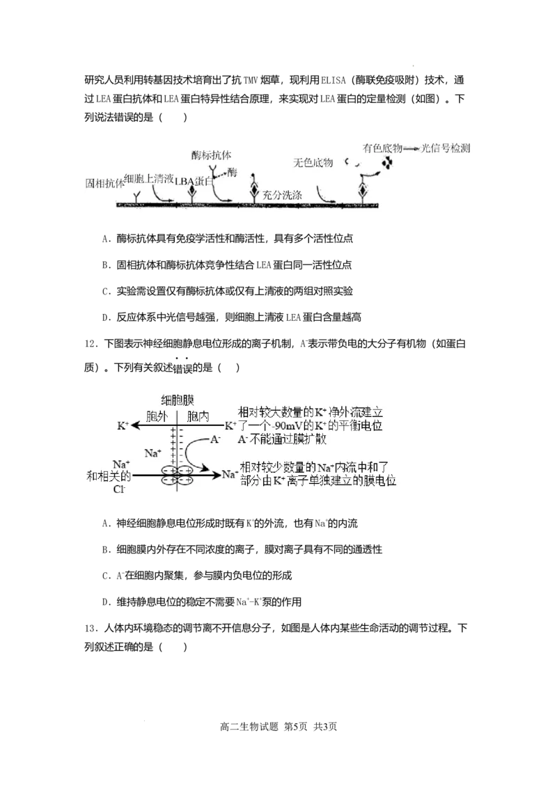 新海高二生物月考试题_2025年10月高二试卷_251015江苏省连云港市赣榆区新海高级中学2025-2026学年高二上学期10月学业水平质量监测（全）