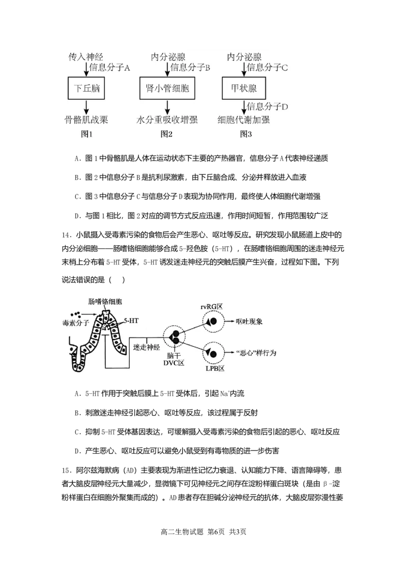 新海高二生物月考试题_2025年10月高二试卷_251015江苏省连云港市赣榆区新海高级中学2025-2026学年高二上学期10月学业水平质量监测（全）