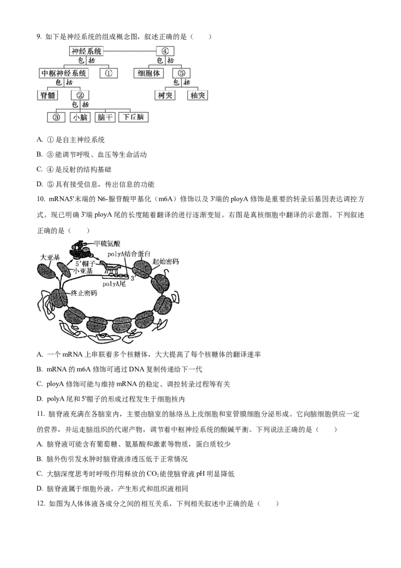湖北省荆州市沙市中学2025-2026学年高二上学期10月月考生物试题（原卷版）_2025年11月高二试卷_251101湖北省荆州市沙市中学2025-2026学年高二上学期10月月考（全）