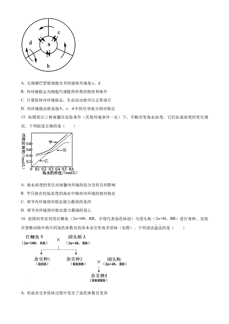 湖北省荆州市沙市中学2025-2026学年高二上学期10月月考生物试题（原卷版）_2025年11月高二试卷_251101湖北省荆州市沙市中学2025-2026学年高二上学期10月月考（全）
