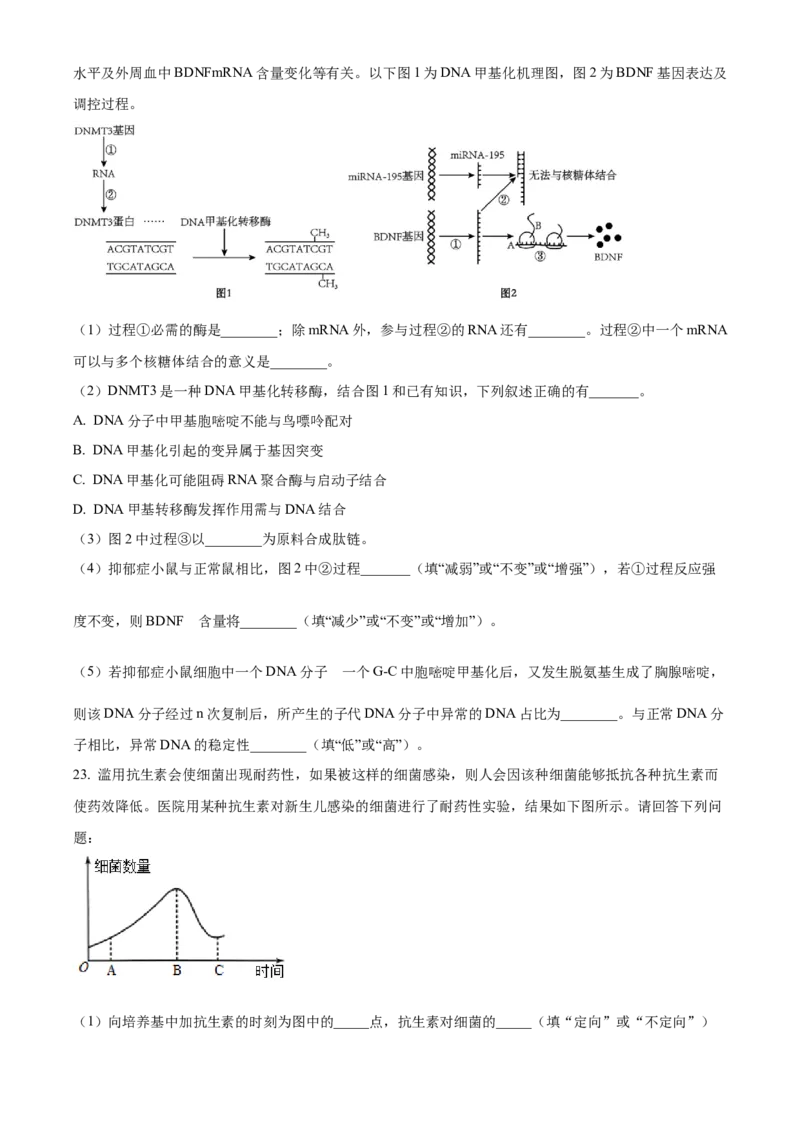 湖北省荆州市沙市中学2025-2026学年高二上学期10月月考生物试题（原卷版）_2025年11月高二试卷_251101湖北省荆州市沙市中学2025-2026学年高二上学期10月月考（全）