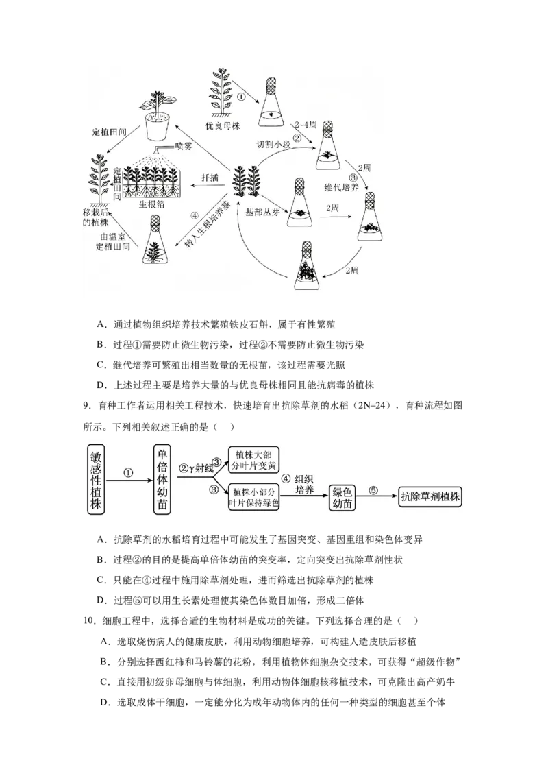 辽宁省大连市滨城高中联盟2024-2025学年高二下学期4月考试生物Word版含答案_2024-2025高二（7-7月题库）_2025年05月试卷_0506辽宁省大连市滨城高中联盟2024-2025学年高二下学期4月考试