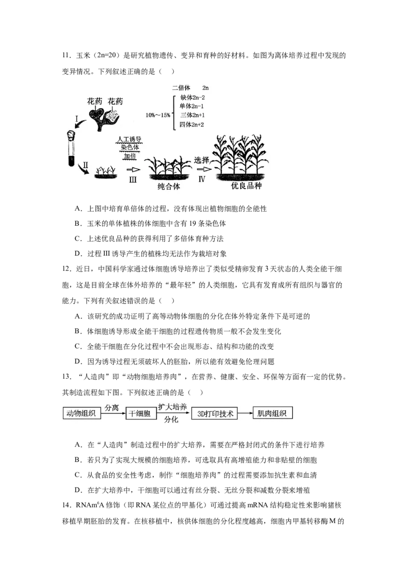 辽宁省大连市滨城高中联盟2024-2025学年高二下学期4月考试生物Word版含答案_2024-2025高二（7-7月题库）_2025年05月试卷_0506辽宁省大连市滨城高中联盟2024-2025学年高二下学期4月考试
