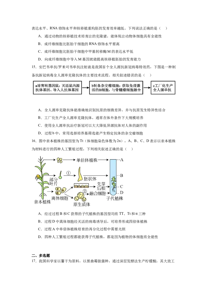辽宁省大连市滨城高中联盟2024-2025学年高二下学期4月考试生物Word版含答案_2024-2025高二（7-7月题库）_2025年05月试卷_0506辽宁省大连市滨城高中联盟2024-2025学年高二下学期4月考试