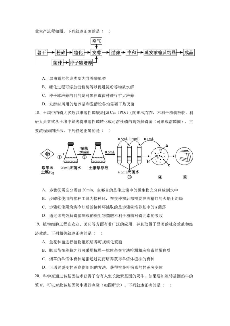 辽宁省大连市滨城高中联盟2024-2025学年高二下学期4月考试生物Word版含答案_2024-2025高二（7-7月题库）_2025年05月试卷_0506辽宁省大连市滨城高中联盟2024-2025学年高二下学期4月考试