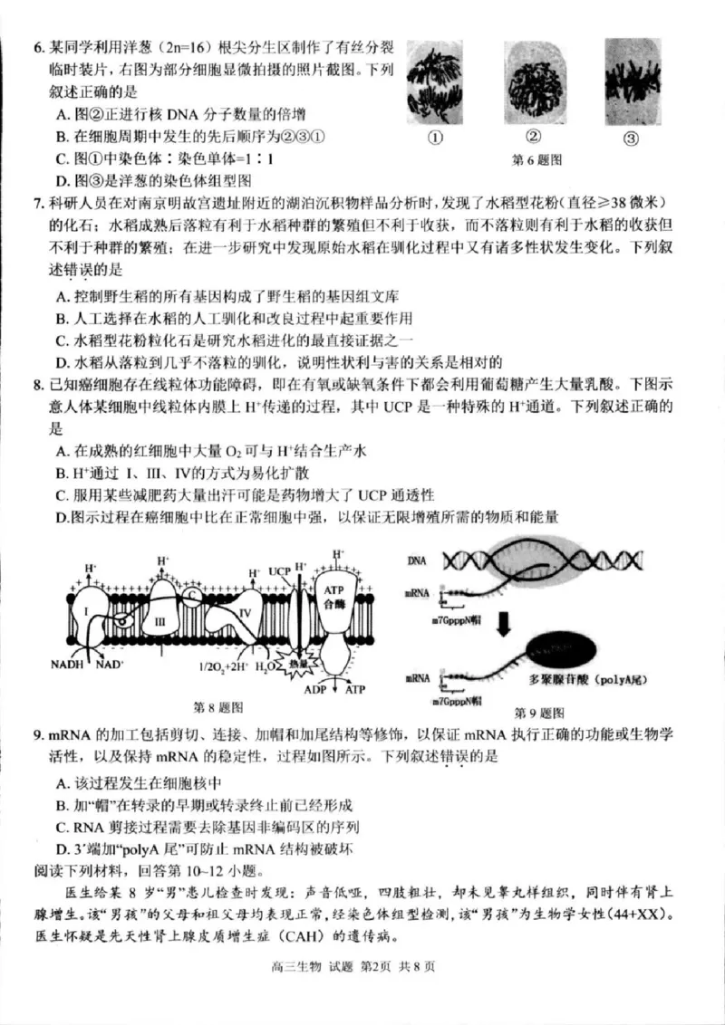 生物试卷及答案_2024-2025高三（6-6月题库）_2024年08月试卷_0831浙江省七彩阳光联盟2025届高三返校考试