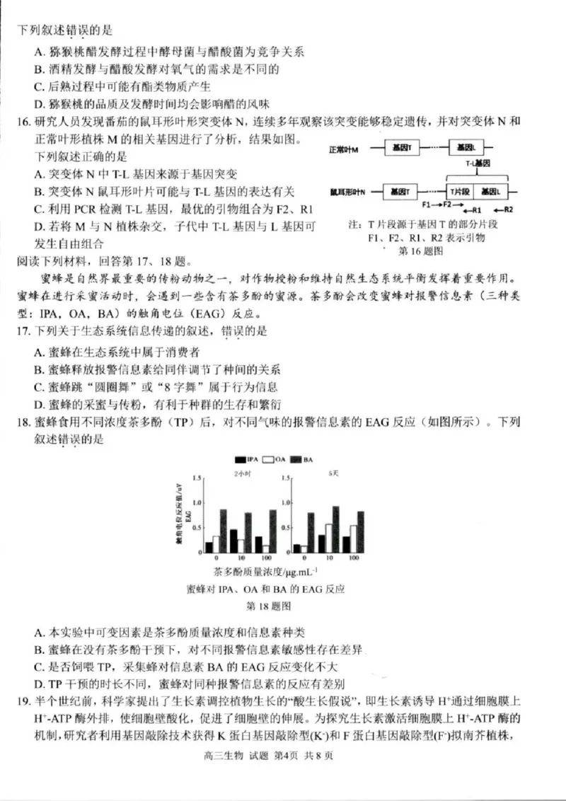 生物试卷及答案_2024-2025高三（6-6月题库）_2024年08月试卷_0831浙江省七彩阳光联盟2025届高三返校考试