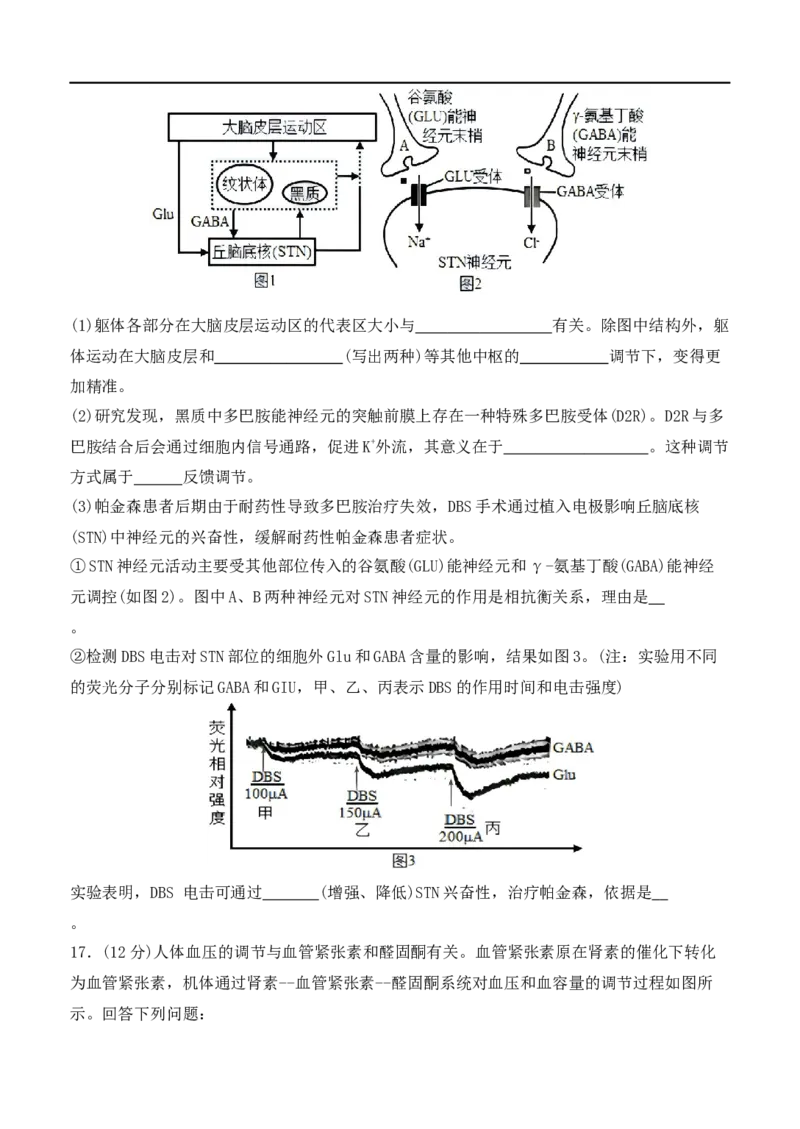福建省龙岩市连城县第一中学2025-2026学年高二上学期12月月考生物试题（含答案）_2024-2025高二（7-7月题库）_2026年1月高二