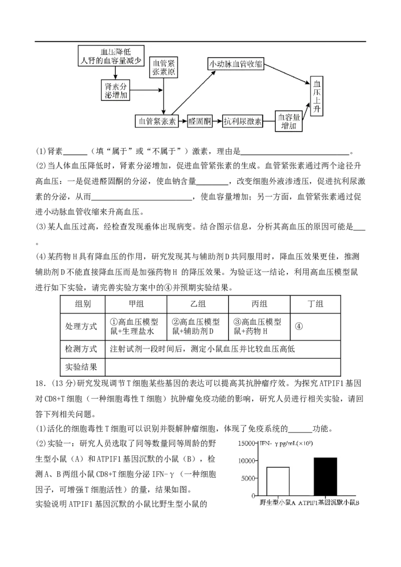 福建省龙岩市连城县第一中学2025-2026学年高二上学期12月月考生物试题（含答案）_2024-2025高二（7-7月题库）_2026年1月高二