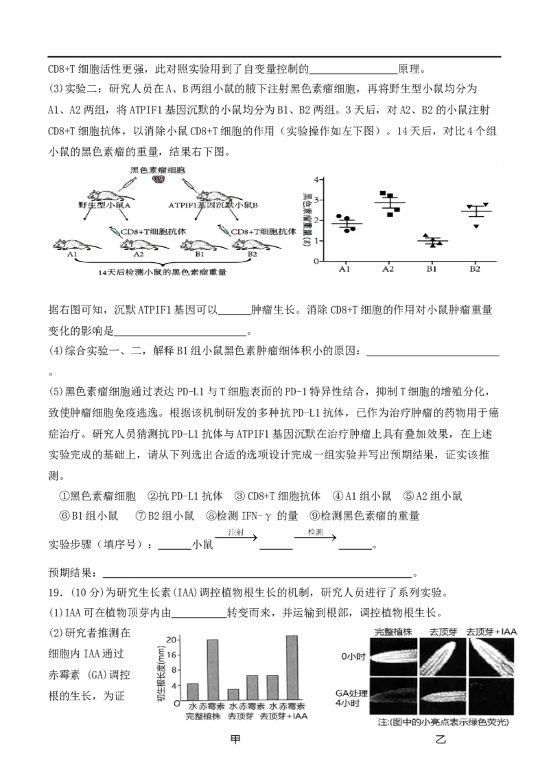 福建省龙岩市连城县第一中学2025-2026学年高二上学期12月月考生物试题（含答案）_2024-2025高二（7-7月题库）_2026年1月高二