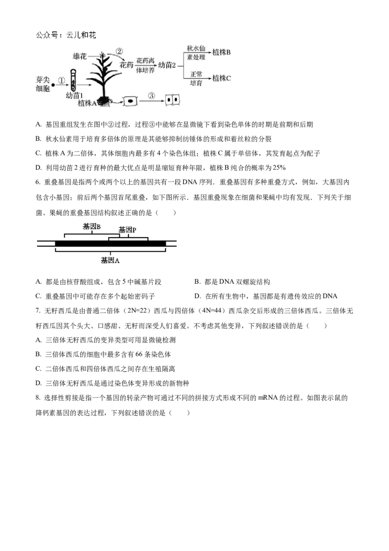 重庆市铜梁一中2024-2025学年高二上学期10月月考生物试题Word版无答案_2024-2025高二（7-7月题库）_2024年11月试卷_1104重庆市铜梁一中2024-2025学年高二上学期10月月考