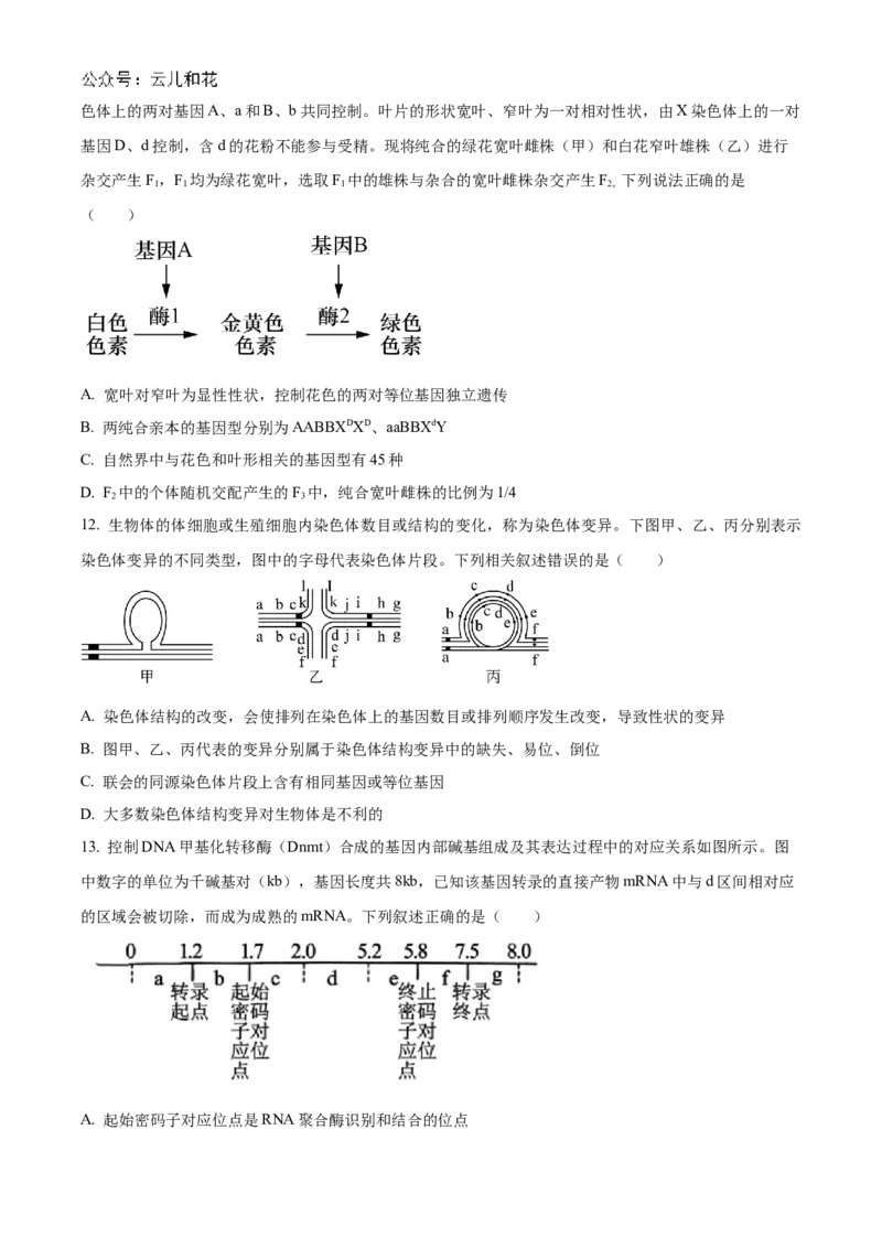 重庆市铜梁一中2024-2025学年高二上学期10月月考生物试题Word版无答案_2024-2025高二（7-7月题库）_2024年11月试卷_1104重庆市铜梁一中2024-2025学年高二上学期10月月考