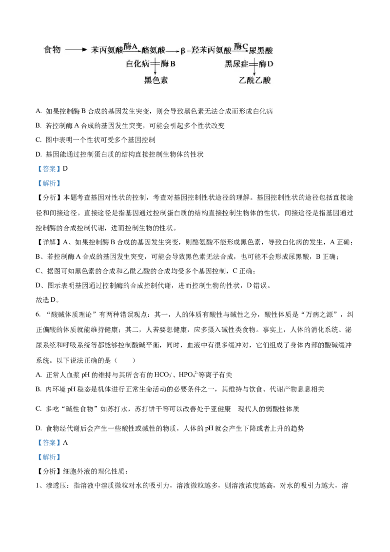 湖北省荆州市沙市中学2025-2026学年高二上学期10月月考生物试题Word版含解析_2025年11月高二试卷_251101湖北省荆州市沙市中学2025-2026学年高二上学期10月月考（全）