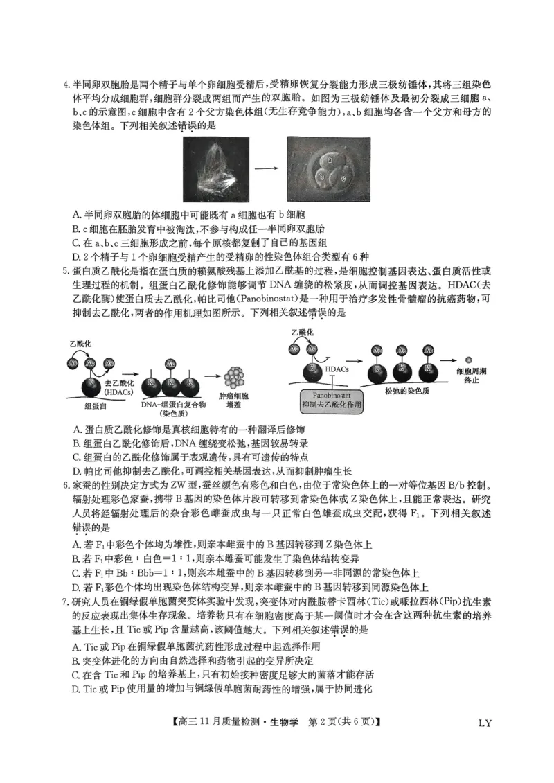 试卷扫描件_高三生物学1129_2024-2025高三（6-6月题库）_2024年11月试卷_1129九师联盟2025届高三上学期教学质量监测11月28联考_九师联盟2025届高三上学期教学质量监测11月联考生物试题