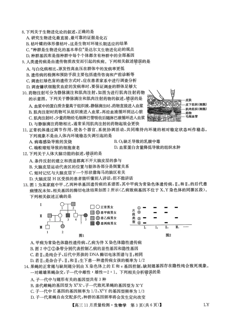 试卷扫描件_高三生物学1129_2024-2025高三（6-6月题库）_2024年11月试卷_1129九师联盟2025届高三上学期教学质量监测11月28联考_九师联盟2025届高三上学期教学质量监测11月联考生物试题