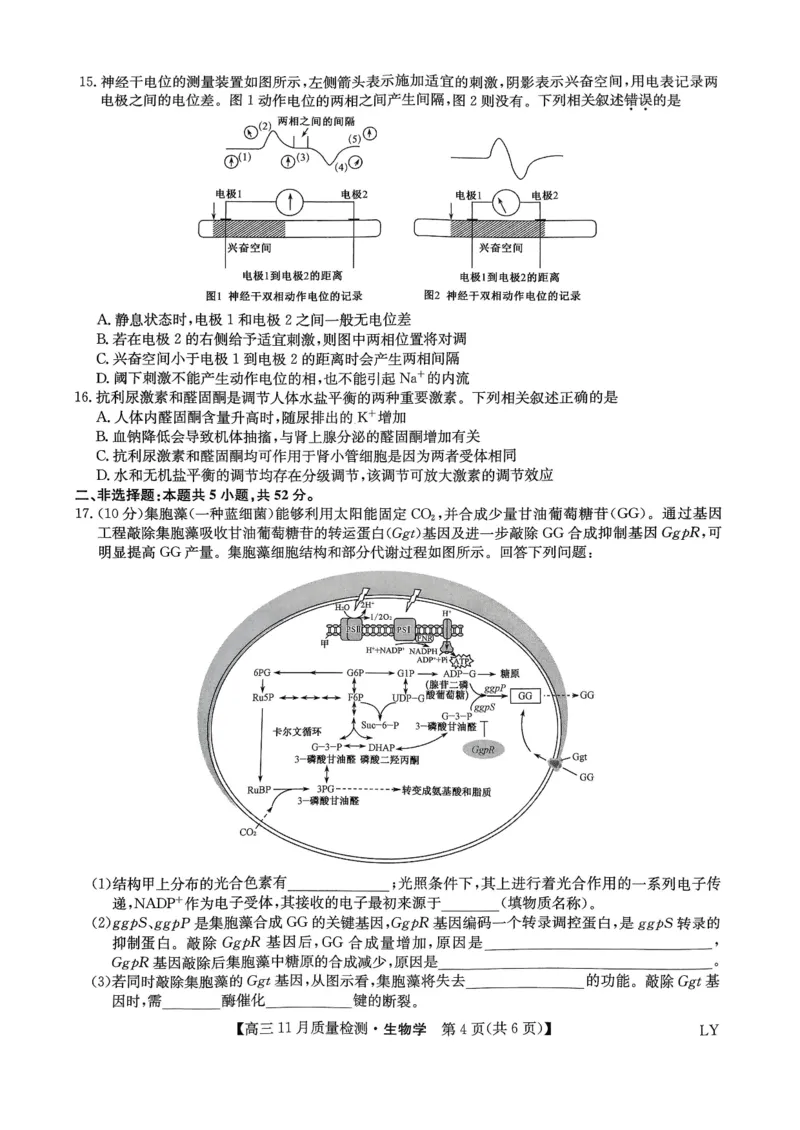 试卷扫描件_高三生物学1129_2024-2025高三（6-6月题库）_2024年11月试卷_1129九师联盟2025届高三上学期教学质量监测11月28联考_九师联盟2025届高三上学期教学质量监测11月联考生物试题