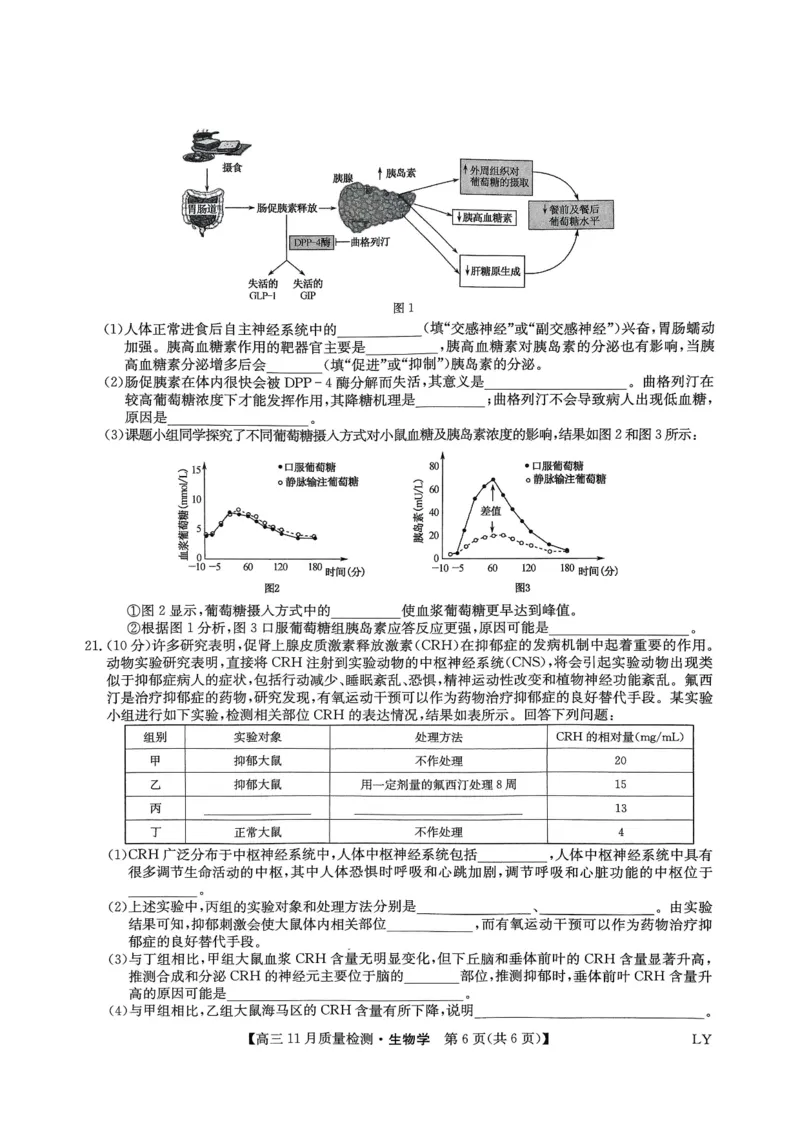 试卷扫描件_高三生物学1129_2024-2025高三（6-6月题库）_2024年11月试卷_1129九师联盟2025届高三上学期教学质量监测11月28联考_九师联盟2025届高三上学期教学质量监测11月联考生物试题