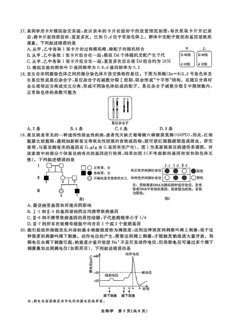 辽宁名校联盟2025-2026学年高三上学期1月期末考试生物_2024-2026高三（6-6月题库）_2026年01月高三试卷_0116辽宁名校联盟2025-2026学年高三上学期1月期末考试（全）