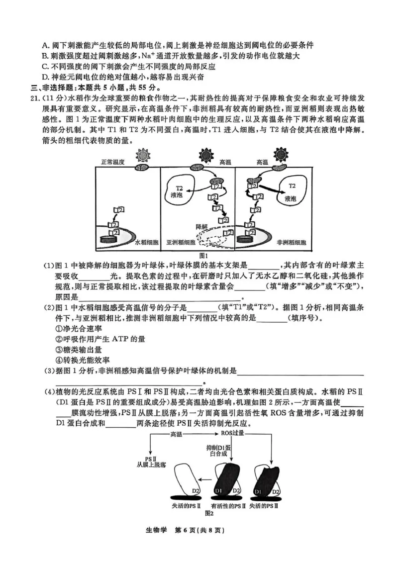 辽宁名校联盟2025-2026学年高三上学期1月期末考试生物_2024-2026高三（6-6月题库）_2026年01月高三试卷_0116辽宁名校联盟2025-2026学年高三上学期1月期末考试（全）
