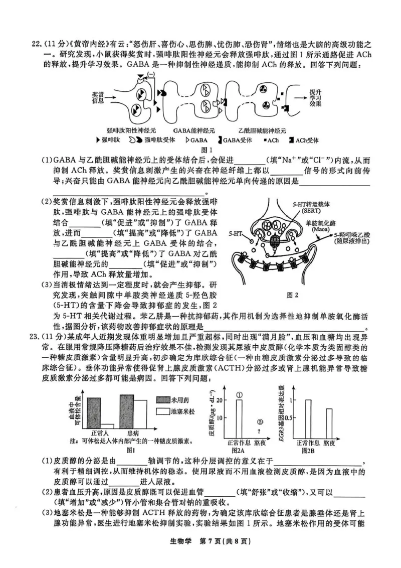 辽宁名校联盟2025-2026学年高三上学期1月期末考试生物_2024-2026高三（6-6月题库）_2026年01月高三试卷_0116辽宁名校联盟2025-2026学年高三上学期1月期末考试（全）