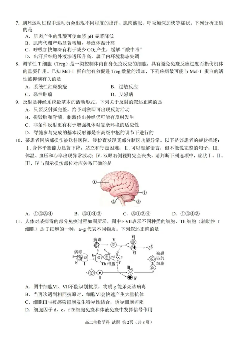 生物试题_251202浙江省台金七校联盟2025-2026学年高二上学期11月期中联考_浙江省台金七校联盟2025-2026学年高二上学期11月期中联考生物试题含答案