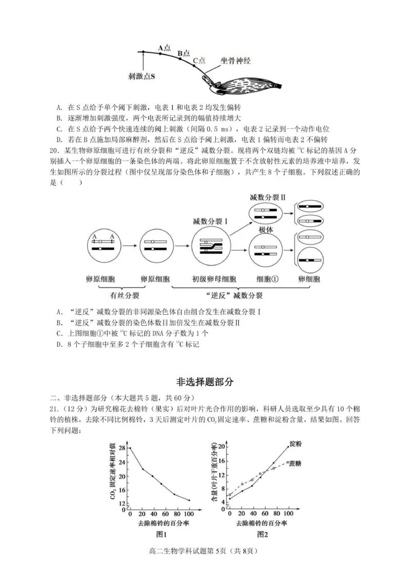 高二生物试题_251210浙江省温州市浙南名校联盟2025-2026学年高二上学期11月期中（全）_浙江省浙南名校联盟2025-2026学年高二上学期11月期中生物试题含答案.zip