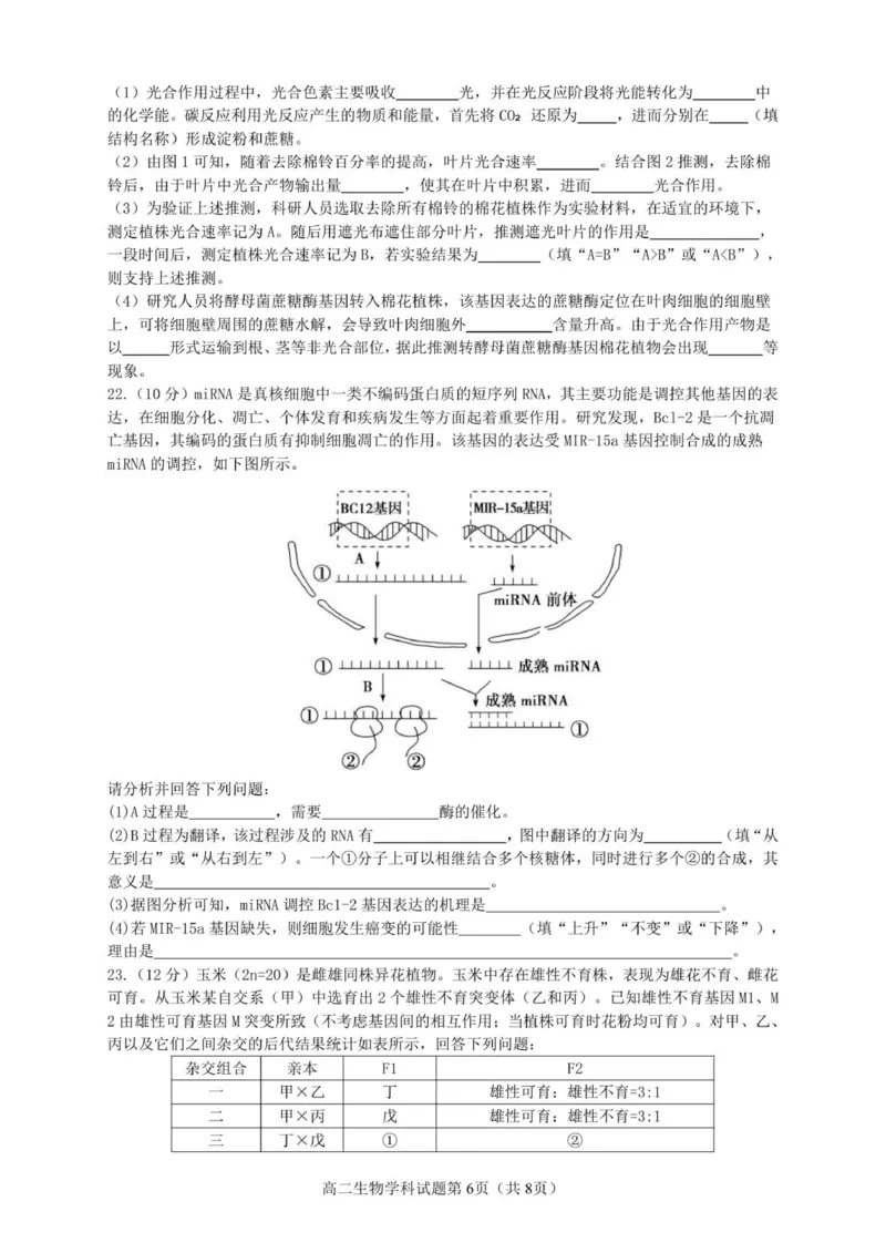 高二生物试题_251210浙江省温州市浙南名校联盟2025-2026学年高二上学期11月期中（全）_浙江省浙南名校联盟2025-2026学年高二上学期11月期中生物试题含答案.zip
