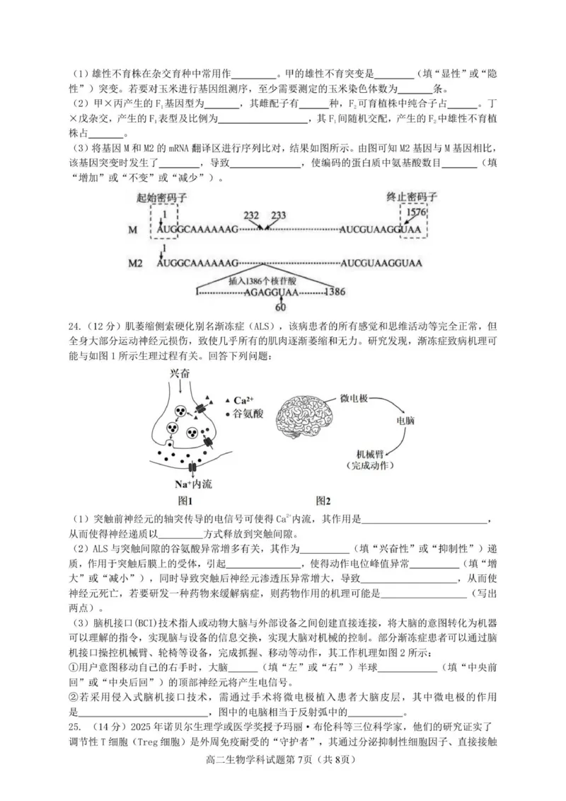 高二生物试题_251210浙江省温州市浙南名校联盟2025-2026学年高二上学期11月期中（全）_浙江省浙南名校联盟2025-2026学年高二上学期11月期中生物试题含答案.zip