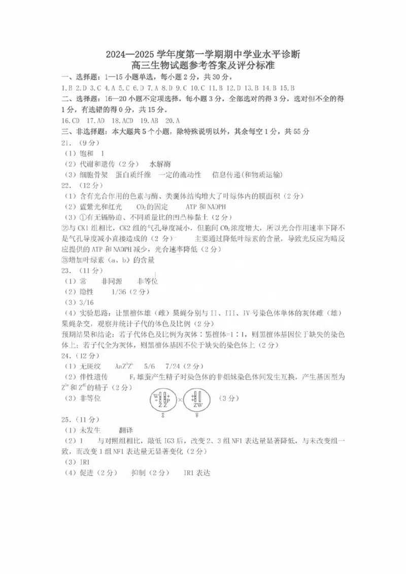 生物试卷答案_2024-2025高三（6-6月题库）_2024年11月试卷_1111山东省烟台市2025届高三11月期中学业水平检测_山东省烟台市2025届高三11月期中学业水平检测生物