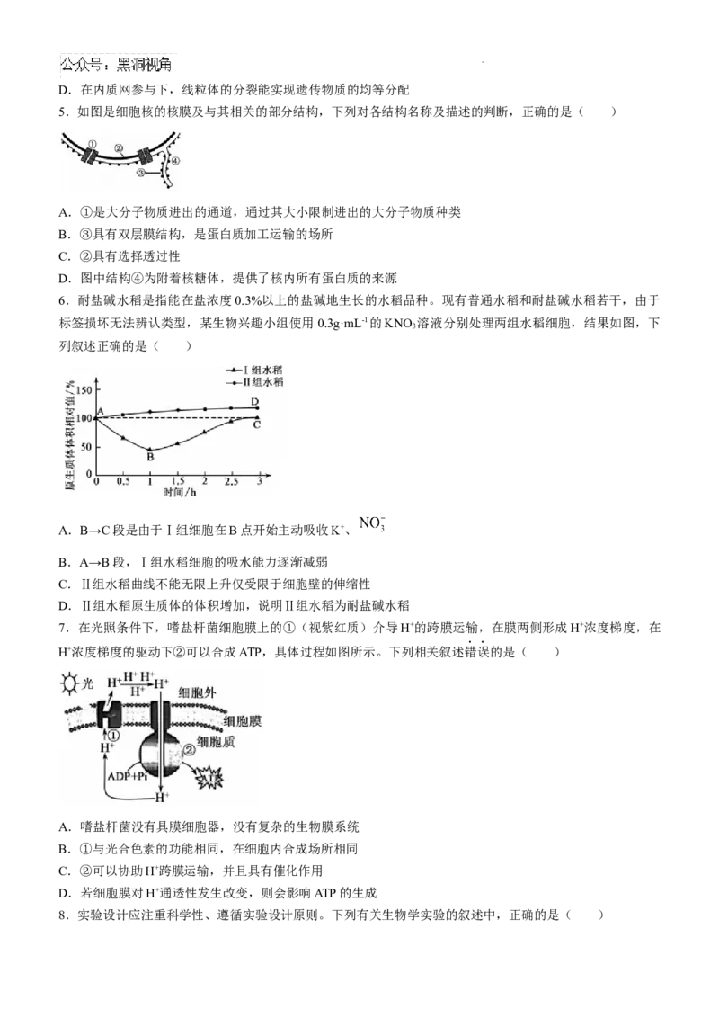 湖南省湘楚名校联考2024-2025学年高三上学期8月月考生物试题+答案_2024-2025高三（6-6月题库）_2024年09月试卷_0901湖南省湘楚名校联考2024-2025学年高三上学期8月月考