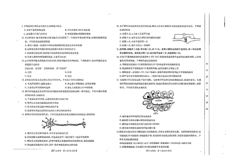 生物试题_2024-2025高二（7-7月题库）_2024年10月试卷_1027内蒙古2024-2025学年高二金太阳联考