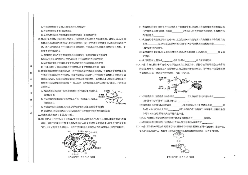 生物试题_2024-2025高二（7-7月题库）_2024年10月试卷_1027内蒙古2024-2025学年高二金太阳联考