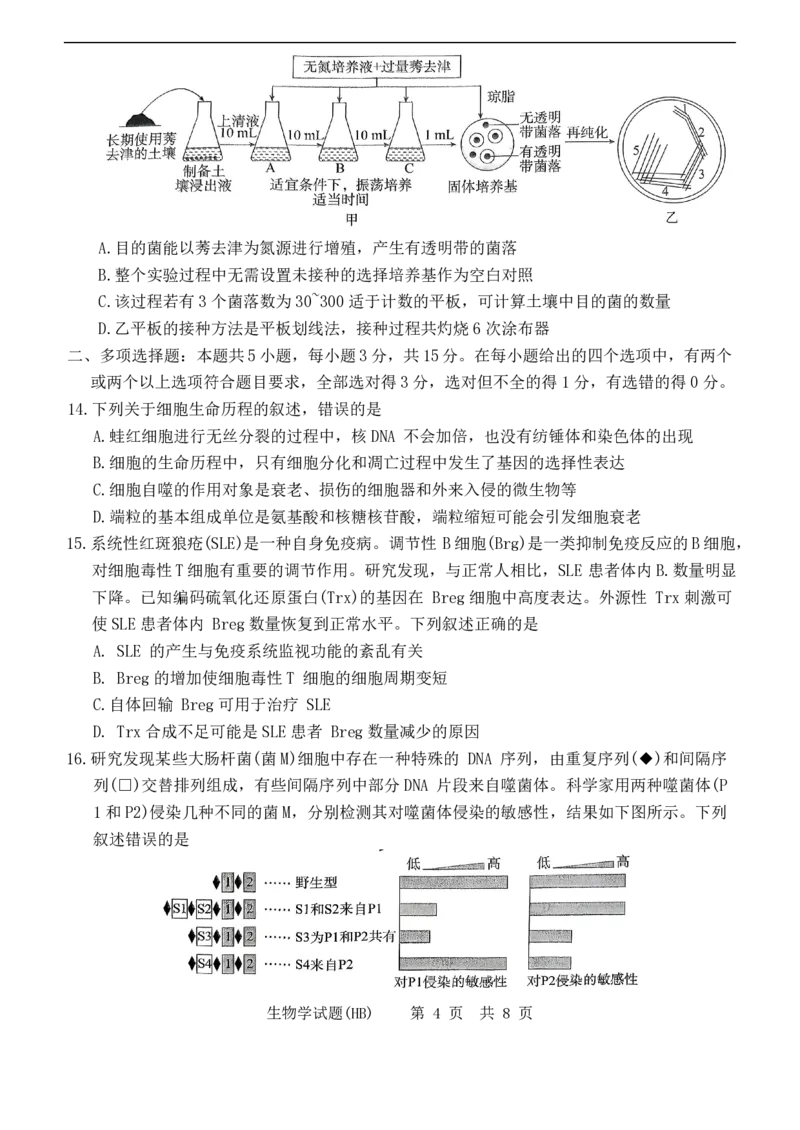 T8联考2026届高三年级12月检测训练生物(河北)_2024-2026高三（6-6月题库）_2025年12月高三试卷_2512252026届高三第一次学业质量评价联考（T8八省联考）（全科）_选科[河北专版]（全）
